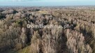 Działka leśna Jodłówka gm. Rzezawa - 4
