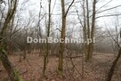 Działka leśna Jodłówka gm. Rzezawa - 5