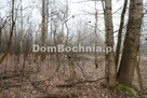 Działka leśna Jodłówka gm. Rzezawa - 6