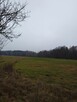 Nieruchomość Ziemia Rolna Sprzedam gmina Kodeń 3,26 h - 11