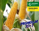 Nasiona kukurydzy Danubio FAO: 240-250 Opti Plus na ptaki - 6