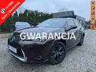 Lexus UX 250H 43 tyś km Ast. Pasa Distronic kamera Super
