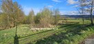 Działka rolna Gilowice - 2