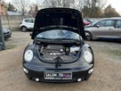 Volkswagen New Beetle 1.4 Klima El szyby Alu Bez Rdzy Stan BDB Bezwypadk Oplacony - 16