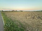 Teren inwestycyjny 0,72 ha – Piotrowice k. Słupcy | Idealny - 2