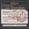 B2B sales manager