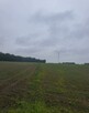 ️Działka rolna z lasem i przeznaczeniem inwestycyjnym (PU) - 4