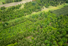 DZIAŁKA BUDOWLANA W NOWYCH MOSTKACH 2182 m2. - 4