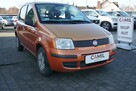 Fiat Panda polski salon - 4