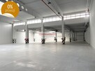 RYBITWY HALA PROD. MAGAZYN  1200 m2 + biura, - 2
