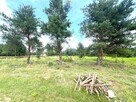 Działka budowlana 1000 m² przy lesie, Wincentówek - 5