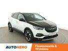 Opel Grandland X Ultimate PHEV 300KM 4x4 skóra kamera ACC grzane fotele navi biLED hak - 10