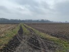 Wiskitki , ziemia rolna - dzierżawa - 2