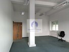 Lokal użytkowy Warszawa Praga-Północ, Pelcowizna, Modlińska - 2
