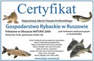 Karp sprzedaż Wrocław - 2