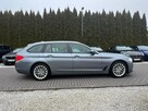 BMW 520 Luxury Line 2.0i Zarejestrowany - 6