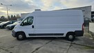 Fiat Ducato Chłodnia - 5