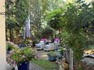 Piękny wolnostojący dom z wymarzonym ogrodem - 13