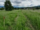Panoramiczna działka w Lipowej, Beskid Żywiecki - 11