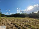 Działka rolna Masłów Masłów Drugi - 4