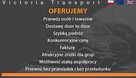 Usługi Transportowe Victoria Transport - 2