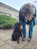 Dyzio - czarny kudłaty pies czeka na dom-adopcja - 5