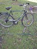 Rowery różne ranio - 7