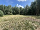Działka budowla 3117 m2 w Kowali gm. Puławy. - 9