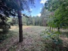 Działka budowla 3117 m2 w Kowali gm. Puławy. - 11