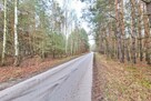 Działka leśna 6000 m2 w Mejznerzynie - 2