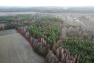 Działka leśna 6000 m2 w Mejznerzynie - 5