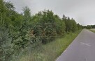 Działka leśna Klimki gm. Łuków - 2