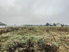 Działka budowlana Ignacówka gm. Jędrzejów, - 10