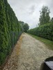 Działka budowlana na osiedlu domów jednorodzinnych - 2