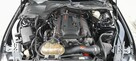 Mustang turbo, performance pack + premium pack + modyfikacje - 12