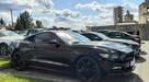 Mustang turbo, performance pack + premium pack + modyfikacje - 2