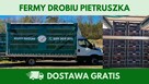 Kury nioski 12–20 tyg. | Dostawa GRATIS | Ferma Drobiu - 7