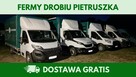 Kury nioski 12–20 tyg. | Dostawa GRATIS | Ferma Drobiu - 6