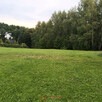 Sobolów, Wola Nieszk.  dz.13,7a, budowlana, las, rekreacja - 5