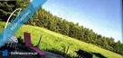 Dom siedlisko posiadłość z dużym potencjałem pod lasem z szeroką dzałką - 3