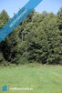 Działka budowlana pod lasem w malowniczej okolicy - 5