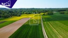 Działka rolna Łańcut Kraczkowa - 4