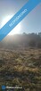 JUSZOWICE gmina Rudna KLIMATYCZNA DZIAŁKA z MPZP - 1