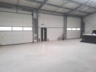 Wynajmę halę usługowo - magazynową z biurem 300m2 - 8
