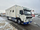 Volvo FM 7 / DO PRZEWOZU BYDŁA I KONI / 5 MIEJSC DLA KONI - 4