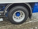 Volvo FM 7 / DO PRZEWOZU BYDŁA I KONI / 5 MIEJSC DLA KONI - 15