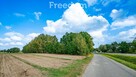 Duża działka w Dobrem - 5