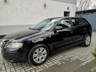 Audi A3 1.9 TDI 105KM Klimatronik Elektryka  Isofix Alu Felgi 16" - 10