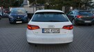 Audi A3 piękny. Gwarancja. Polecam !!! - 8