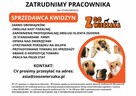 DORADCA KLIENTA ZOO ZWIERZAKA